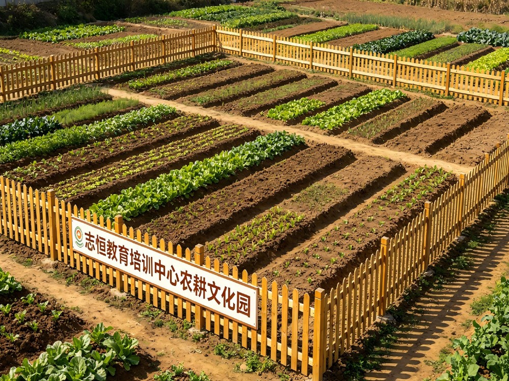 龙岩叛逆小孩管教学校怎么选?专业择校指南与理性建议